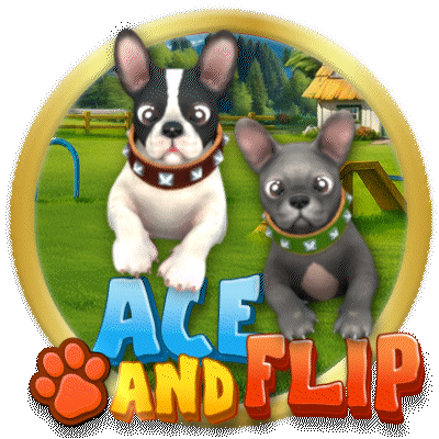 Ace and Flip