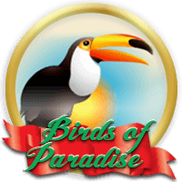 Birds of Paradise