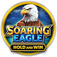 Soaring Eagle