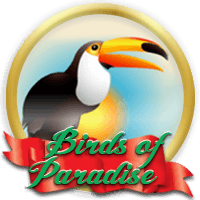 2X Rewards Points on Birds of Paradise Birds of Paradise
