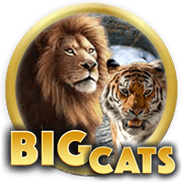 Big Cats